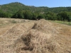 Wanderweg des Hl. Simon in Gracisce