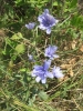 Wanderweg des Hl. Simon in Gracisce 6