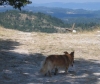 Wanderweg des Hl. Simon in Gracisce