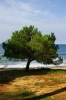 ausblick aufs meer vom abwaschplatz ausblick aufs meer vom abwaschplatz