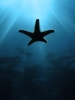 Bilder aus der Adria