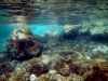 Karlobag 2012 Unterwasser 2