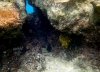 Karlobag 2012 Unterwasser 26