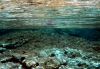 Insel Korcula: KARBUNI > Unterwasser