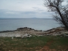 Blick Losini
