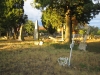 alter Friedhof 6