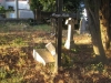 alter Friedhof 7