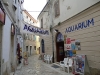 POREC > Aquarium