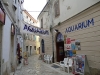 POREC > Aquarium