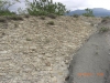 Istrien>Flysch 8