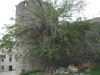 istrien>boljun>Kastel istrien>boljun>Kastel