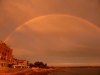 Novigrad Novigrad