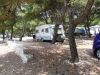 CAMPING ADRIATIC > Stellplatz