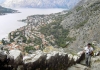 Kotor