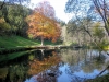 A > LIENZ > Herbststimmung im Park