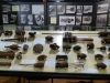 A > KÖTSCHACH-MAUTHEN>Antikriegsmuseum 6