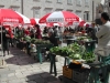 3. Platz < ELMA > DUBROVNIK > Markt auf dem Platz Gundulicva