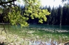 Durmitor > Weg zum Zmijinje Jezero 2