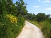 LUMBARDA > Feldweg auf Halbinsel Raznjic