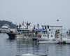 POREC > Herbstimpressionen > Strand/Hafen