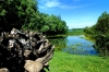 HR-Mittelkroatien: LONJSKO POLJE > Naturpark