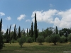 PRIDVORJE > Zypressen und Olivenbäume bei der Wallfahrtskirche