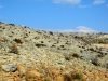 OTOK BRAC > verbrannte Vegetation