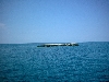 KORNATI > Tellerinsel