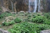 NATIONALPARK PLITVICER SEEN > Meer von Wasserblumen unterhalb des Veliki slap