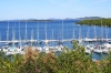 VELI RAT > Marina