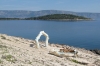 INSEL HVAR > Kunstwerk am Strand