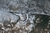 Wintermärchen Plitvice 6