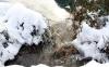 Wintermärchen Plitvice 9