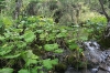 NATIONALPARK PLITVICER SEEN > Burgeti Wasserlandschaft