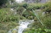 NATIONALPARK PLITVICER SEEN > Jezero Gavanovac > Kalksinterbarriere zum Jezero Kaluderovac