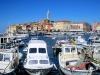 ROVINJ > Panorama der Altstadt