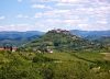 1. Platz < Olifan > MOTOVUN > Blick von der Parenzana