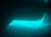 INSEL CRES > Unterwassereingang zur Blauen Grotte