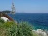 INSEL LOSINJ > Wanderung von Mali Losinj nach Veli Losinj