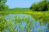 LONJSKO POLJE > Naturpark