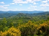 MOTOVUN > Frühling im Hinterland