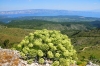 INSEL HVAR > Fahrrad-/Wandertour zum Sv. Nikola > Ausblick vom Gipfel