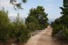 OTOK KORCULA > Wander- und Radweg bei Vela Luka