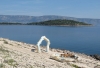 1. Platz M < ELMA - Gesamtsieger > Mitteldalmatien: INSEL HVAR > Blick hinüber zur Insel Brac