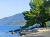 Kvarneric: INSEL CRES > Camping Kovacine > PLATZENDE