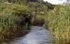KRKA NATIONALPARK > Visovaco jezero - Schilf