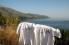 T-Shirt: Adriaforum auf Peljesac