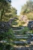 Otok Losinj > Wanderweg nach Sveti Nikola Otok Losinj > Wanderweg nach Sveti Nikola