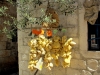 Dalmatien: TROGIR 2