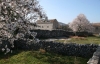 Dalmatien: LOZOVAC-SKOCIC > Frühling im Dorf